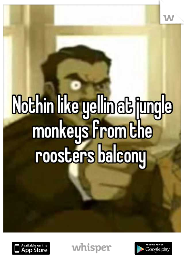 Nothin like yellin at jungle monkeys from the roosters balcony 