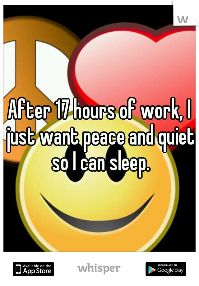 After 17 hours of work, I just want peace and quiet so I can sleep.