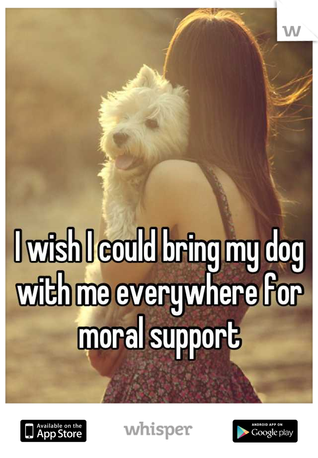 


I wish I could bring my dog with me everywhere for moral support