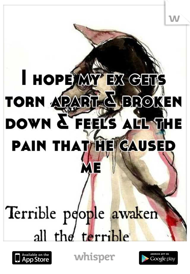 I hope my ex gets torn apart & broken down & feels all the pain that he caused me 