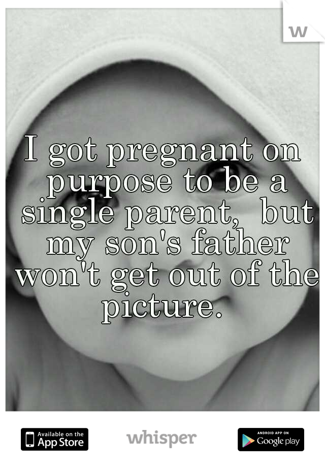 I got pregnant on purpose to be a single parent,  but my son's father won't get out of the picture. 