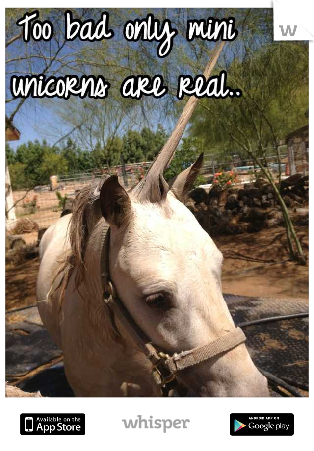 Too bad only mini unicorns are real..





I want a big one! 