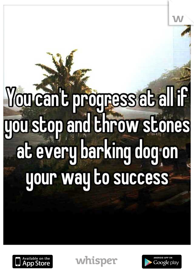 You can't progress at all if you stop and throw stones at every barking dog on your way to success