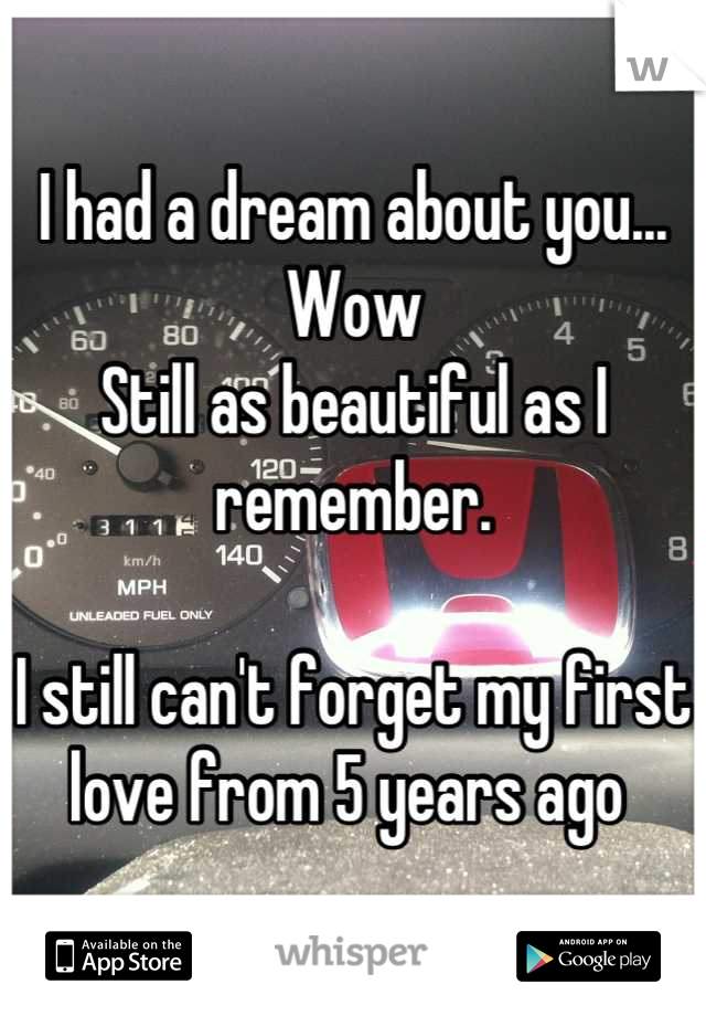 I had a dream about you... Wow
Still as beautiful as I remember. 

I still can't forget my first love from 5 years ago 