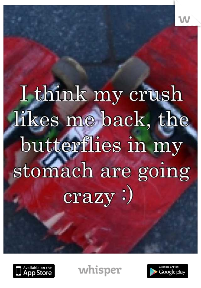I think my crush likes me back, the butterflies in my stomach are going crazy :) 