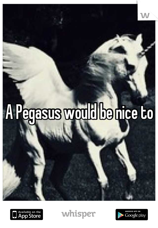 A Pegasus would be nice to