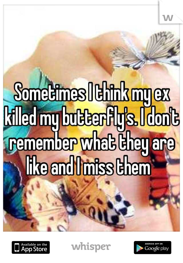 Sometimes I think my ex killed my butterfly's. I don't remember what they are like and I miss them  