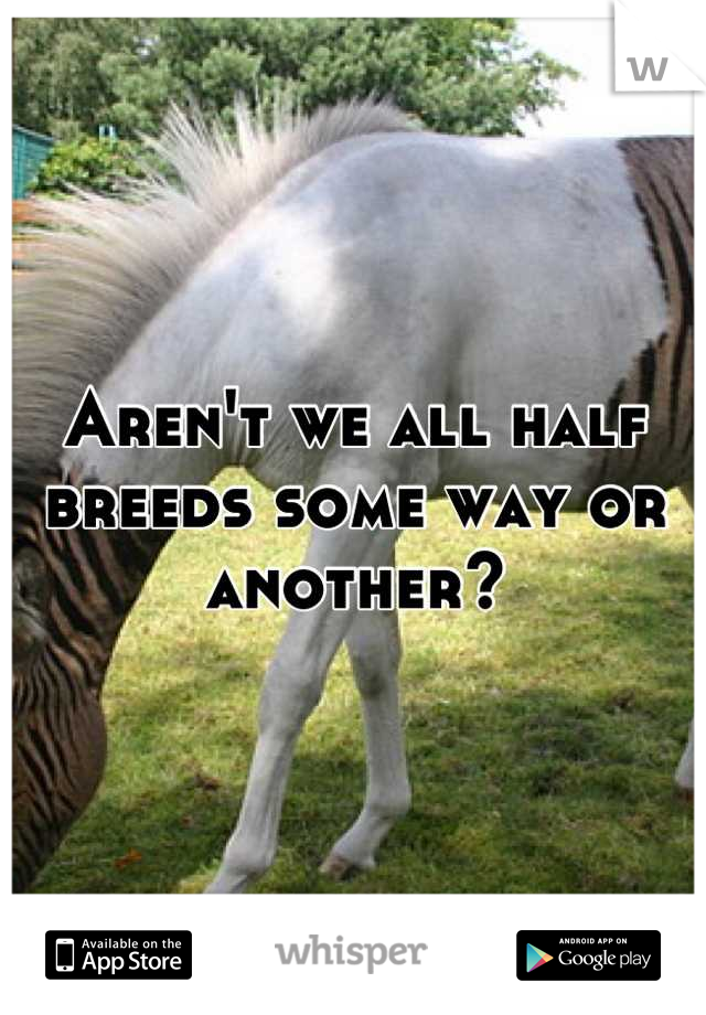 Aren't we all half breeds some way or another?