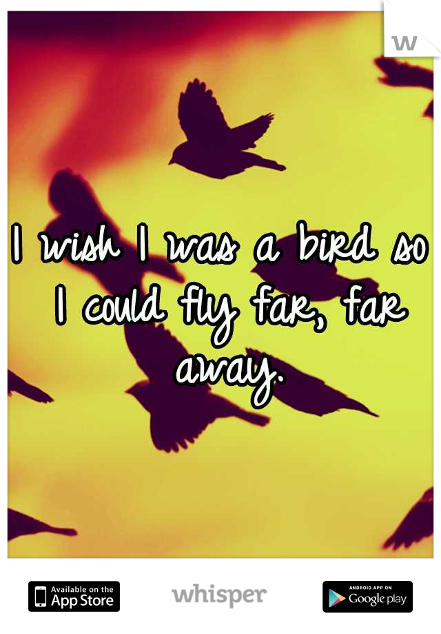 I wish I was a bird so I could fly far, far away.