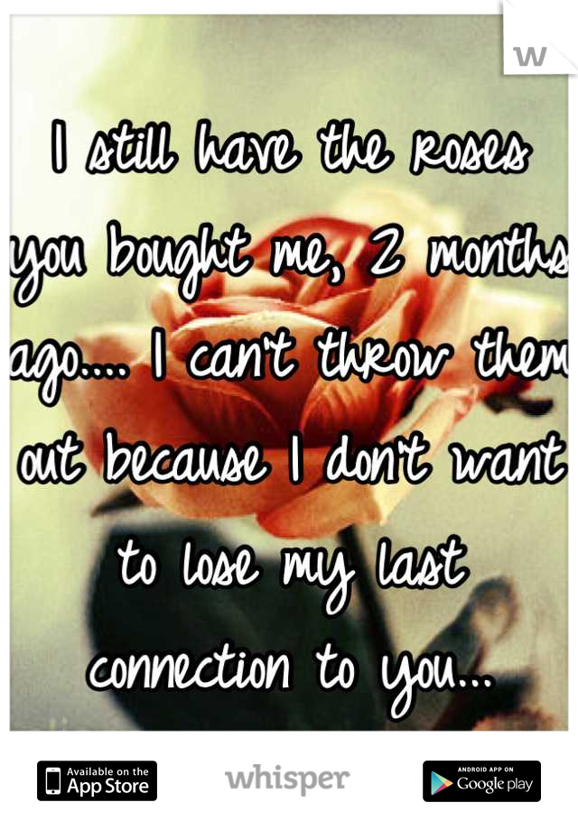 I still have the roses you bought me, 2 months ago.... I can't throw them out because I don't want to lose my last connection to you...