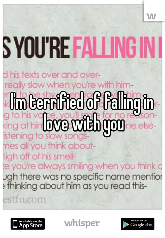 I'm terrified of falling in love with you