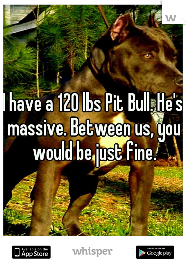 I have a 120 lbs Pit Bull. He's massive. Between us, you would be just fine.