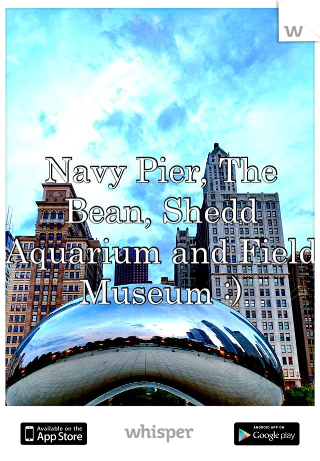 Navy Pier, The Bean, Shedd Aquarium and Field Museum :)