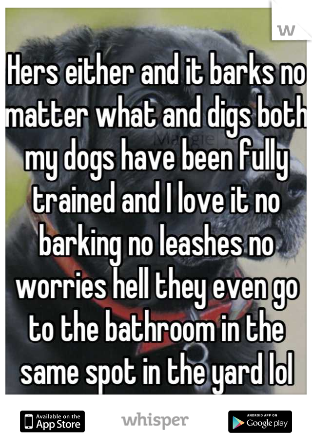 Hers either and it barks no matter what and digs both my dogs have been fully trained and I love it no barking no leashes no worries hell they even go to the bathroom in the same spot in the yard lol