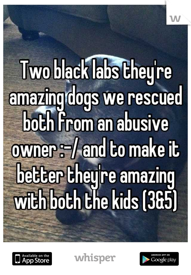 Two black labs they're amazing dogs we rescued both from an abusive owner :-/ and to make it better they're amazing with both the kids (3&5)