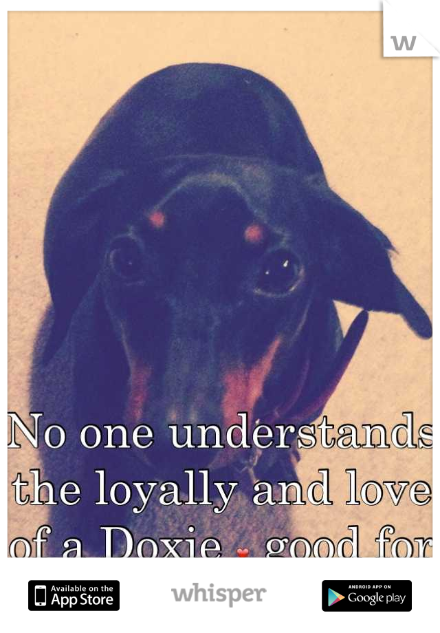 






No one understands the loyally and love of a Doxie ❤ good for you