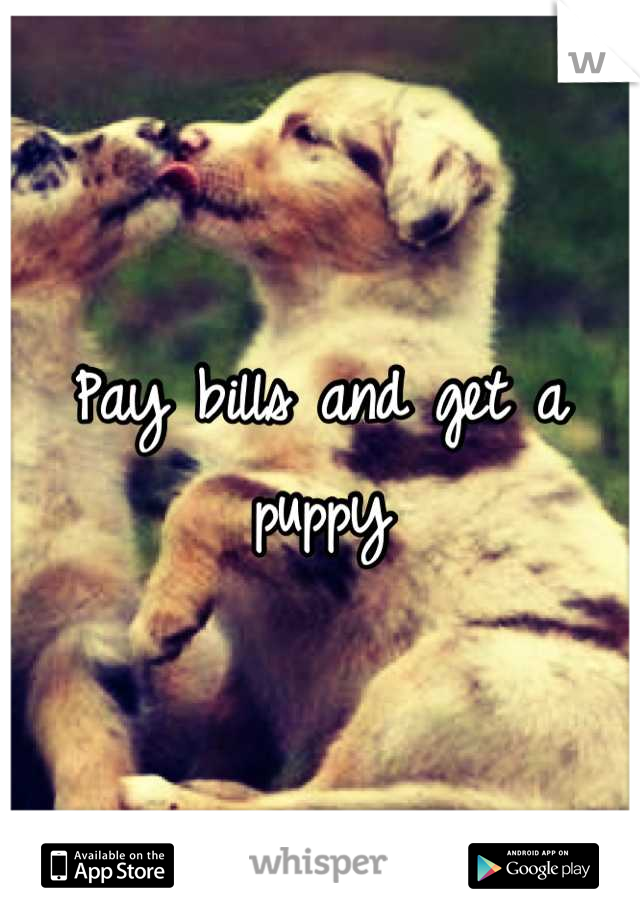 Pay bills and get a puppy