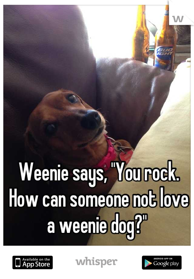 Weenie says, "You rock. How can someone not love a weenie dog?" 