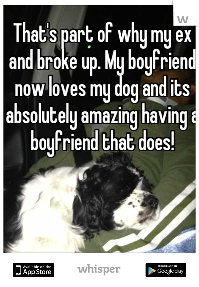 That's part of why my ex and broke up. My boyfriend now loves my dog and its absolutely amazing having a boyfriend that does!