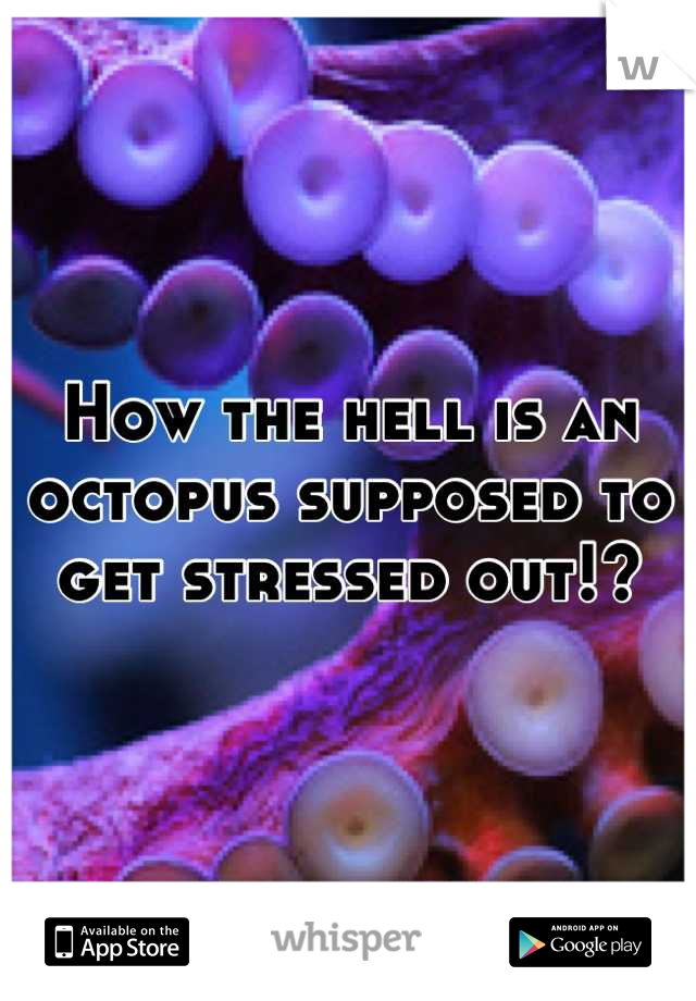 How the hell is an octopus supposed to get stressed out!?