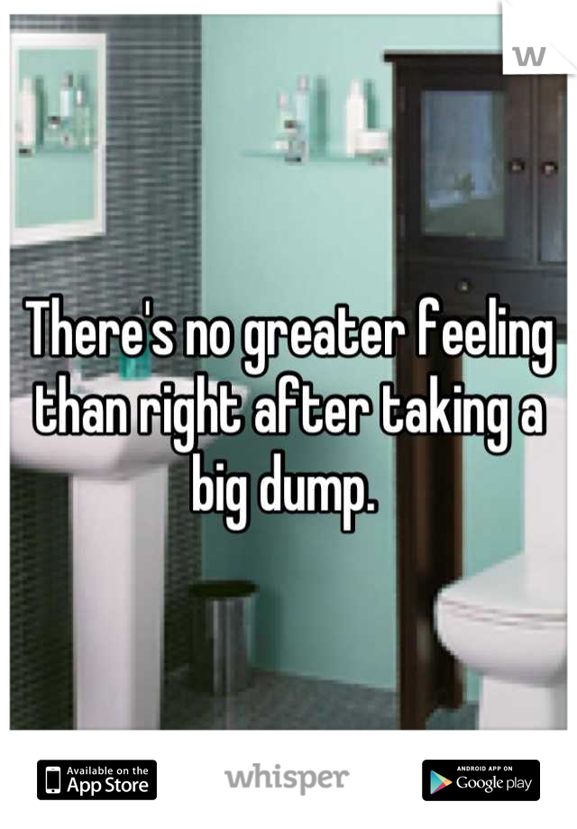 There's no greater feeling than right after taking a big dump. 