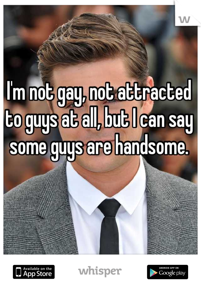 I'm not gay, not attracted to guys at all, but I can say some guys are handsome.