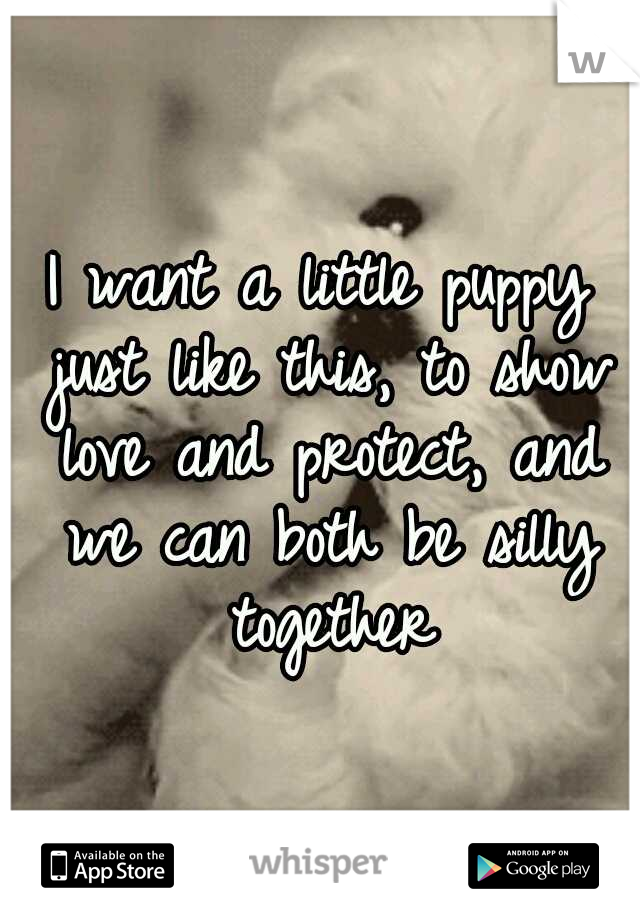 I want a little puppy just like this, to show love and protect, and we can both be silly together