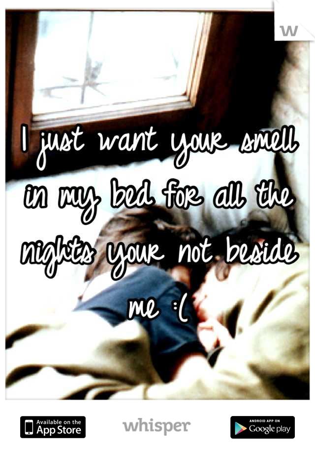 I just want your smell in my bed for all the nights your not beside me :(