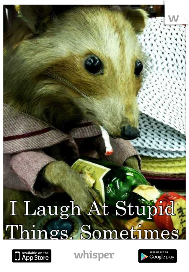 I Laugh At Stupid Things. Sometimes At Nothing 