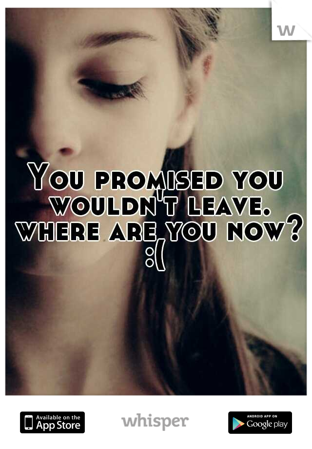 You promised you wouldn't leave. where are you now? :( 