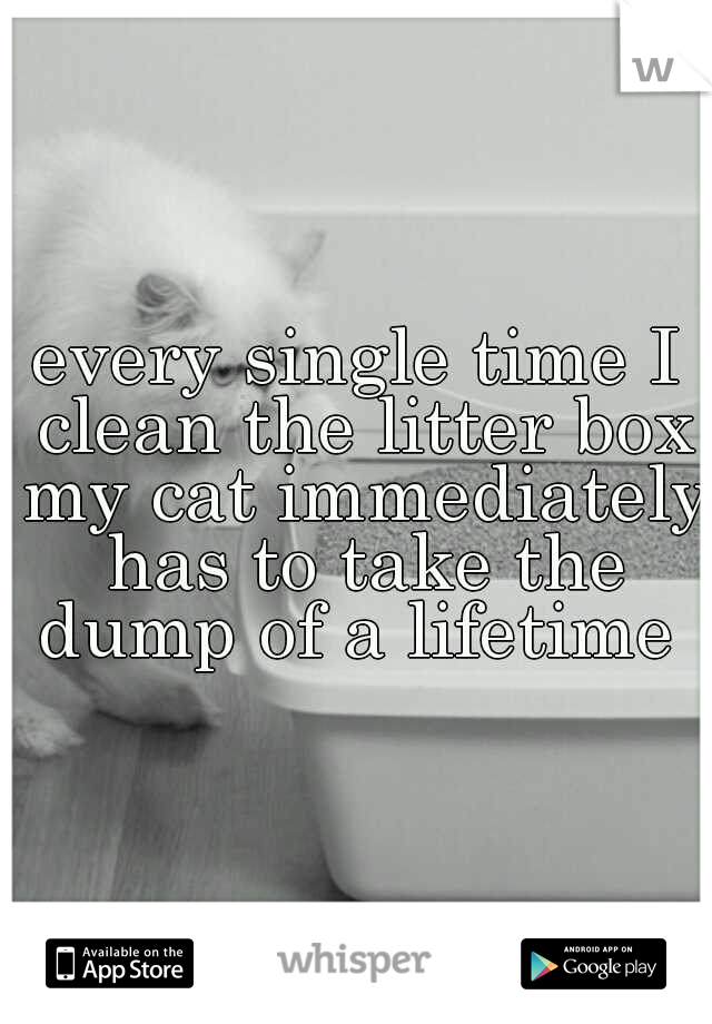 every single time I clean the litter box my cat immediately has to take the dump of a lifetime 