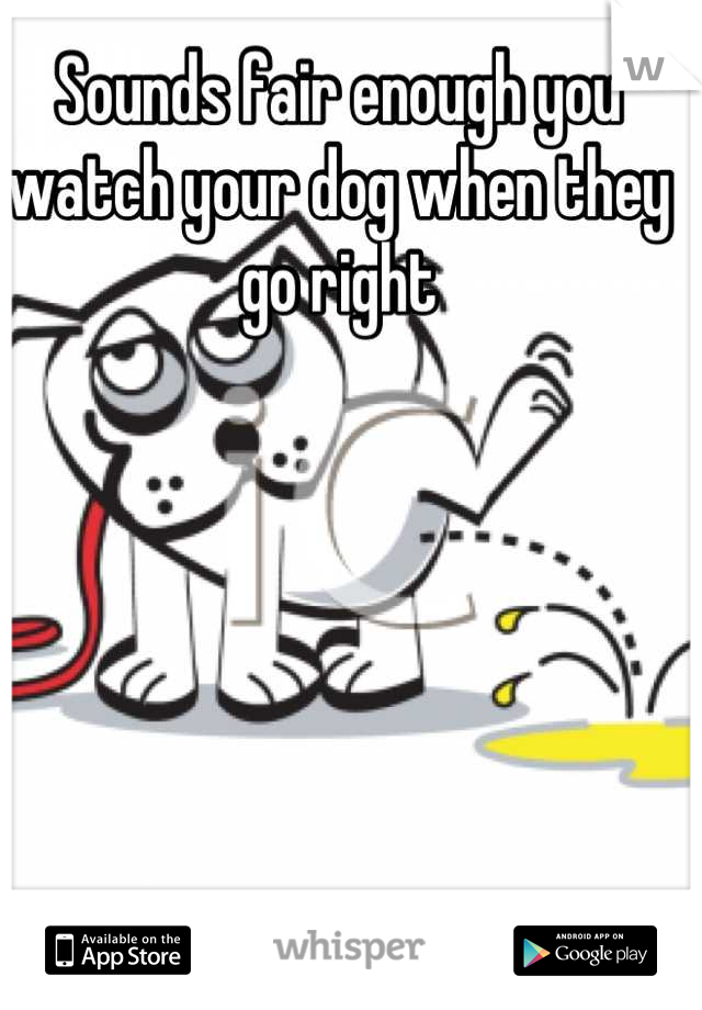 Sounds fair enough you watch your dog when they go right