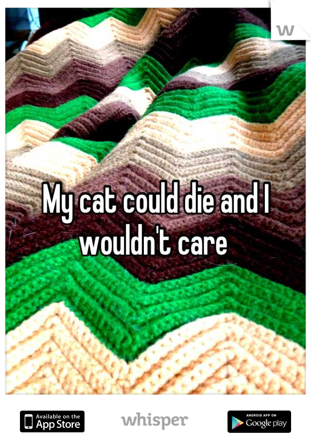My cat could die and I wouldn't care 