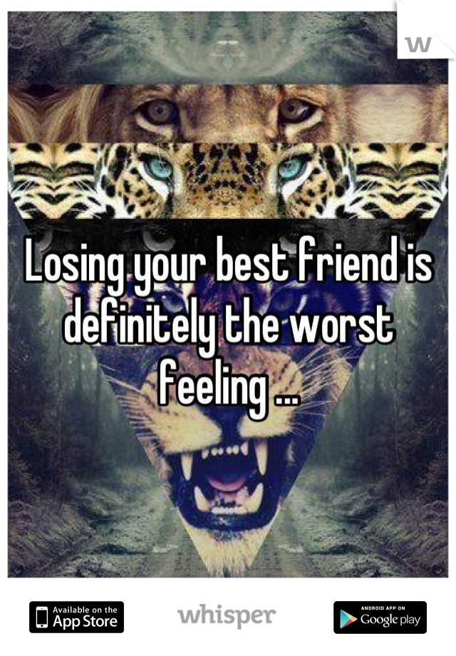 Losing your best friend is definitely the worst feeling ...