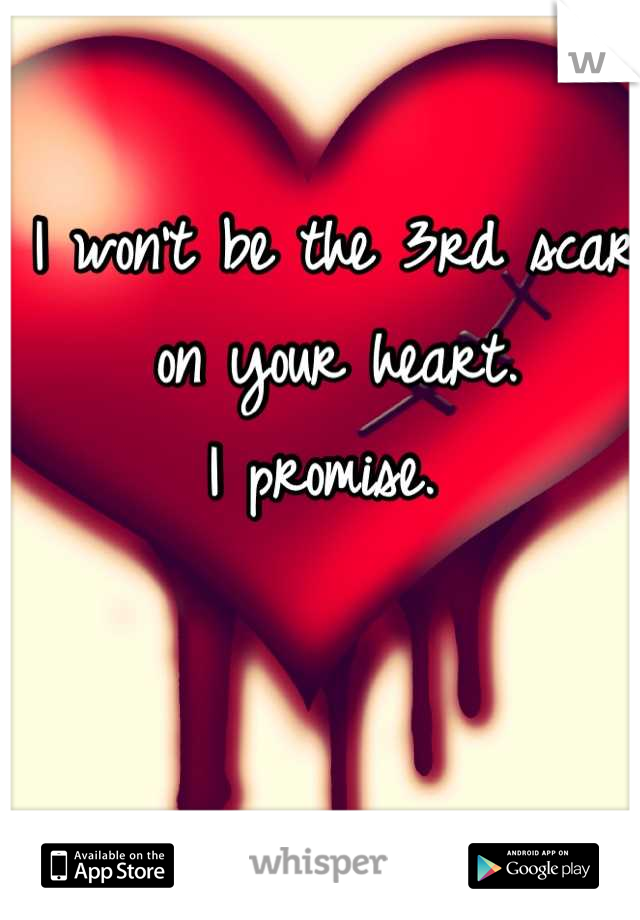 I won't be the 3rd scar on your heart. 
I promise. 