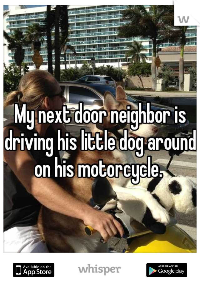 My next door neighbor is driving his little dog around on his motorcycle. 