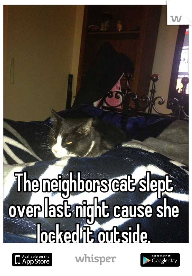 The neighbors cat slept over last night cause she locked it outside.