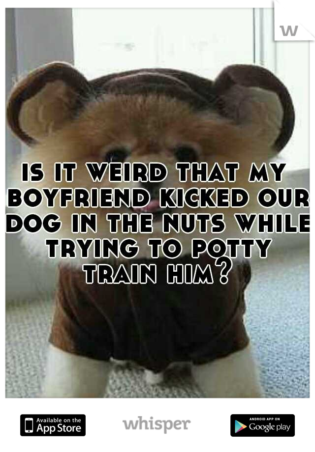 is it weird that my boyfriend kicked our dog in the nuts while trying to potty train him?