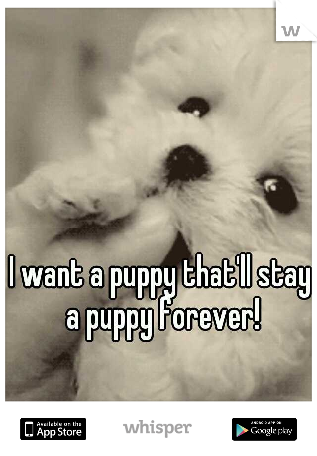 I want a puppy that'll stay a puppy forever!