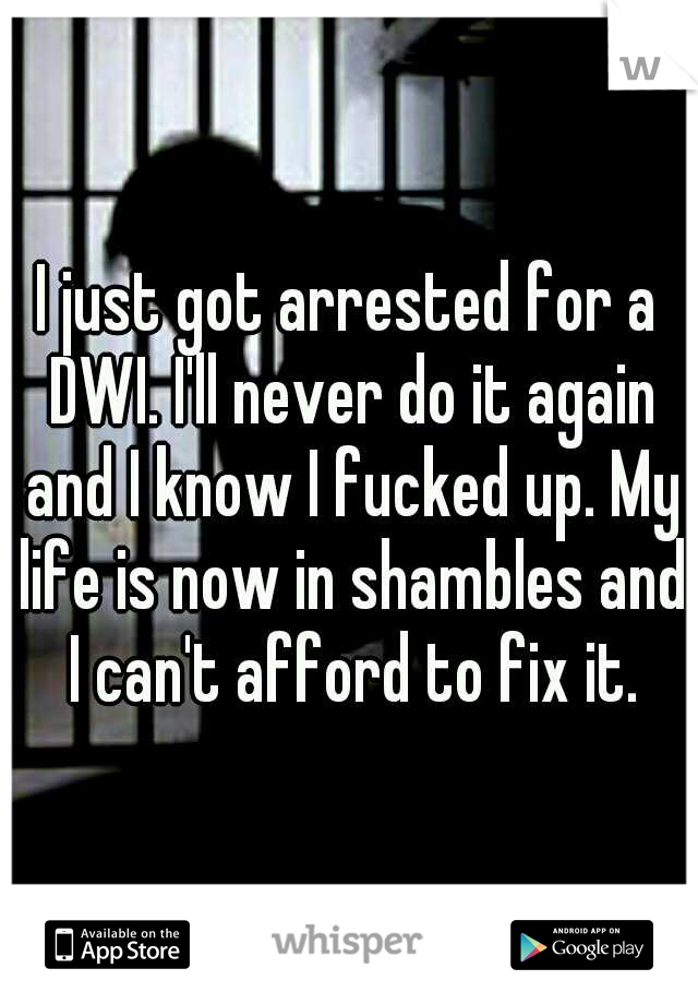 I just got arrested for a DWI. I'll never do it again and I know I fucked up. My life is now in shambles and I can't afford to fix it.