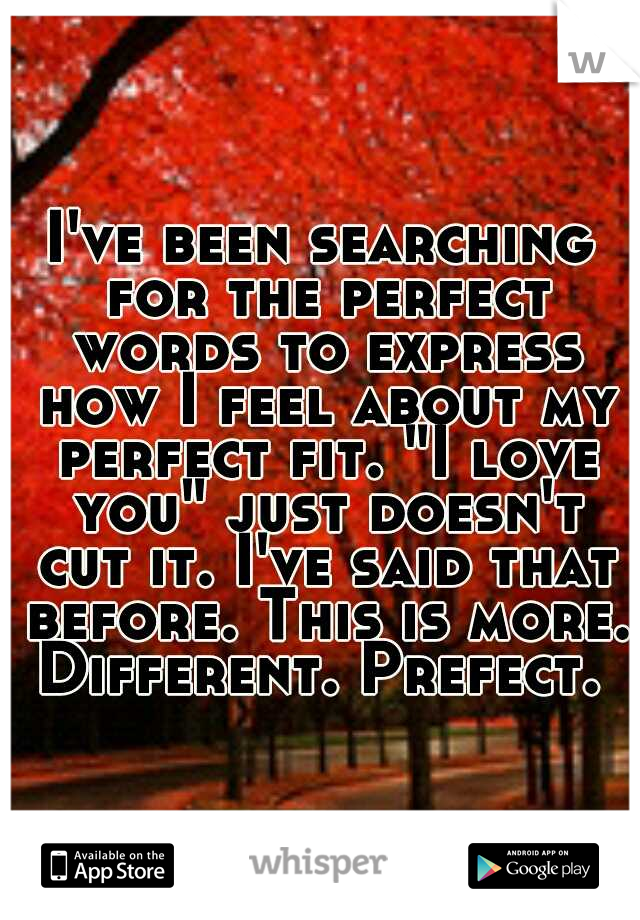 I've been searching for the perfect words to express how I feel about my perfect fit. "I love you" just doesn't cut it. I've said that before. This is more. Different. Prefect. 