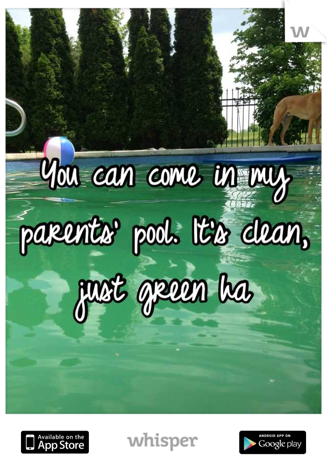 You can come in my parents' pool. It's clean, just green ha