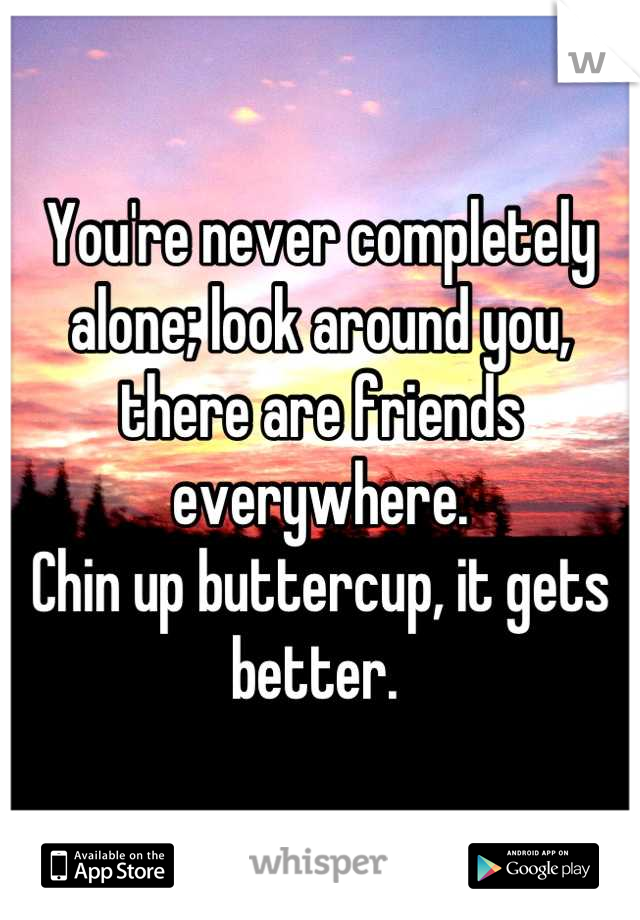 You're never completely alone; look around you, there are friends everywhere. 
Chin up buttercup, it gets better. 