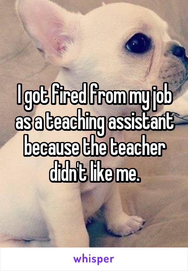 I got fired from my job as a teaching assistant because the teacher didn't like me.