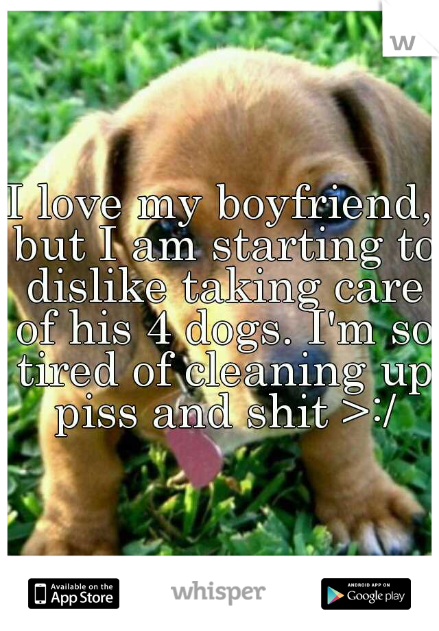 I love my boyfriend, but I am starting to dislike taking care of his 4 dogs. I'm so tired of cleaning up piss and shit >:/