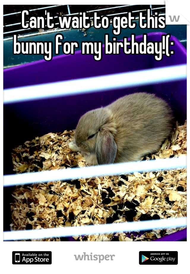 Can't wait to get this bunny for my birthday!(:
