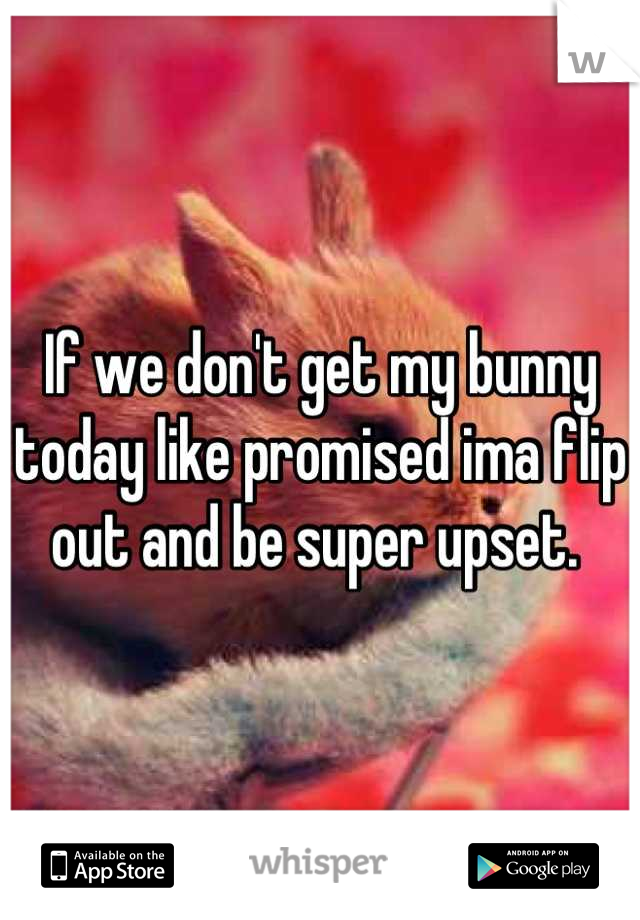 If we don't get my bunny today like promised ima flip out and be super upset. 