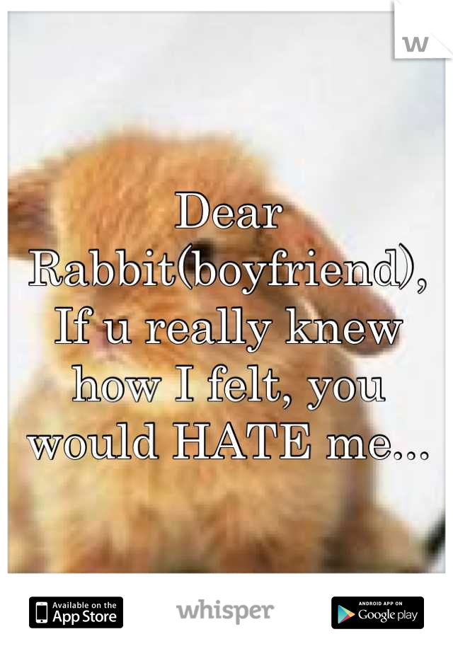 Dear Rabbit(boyfriend),
If u really knew how I felt, you would HATE me...