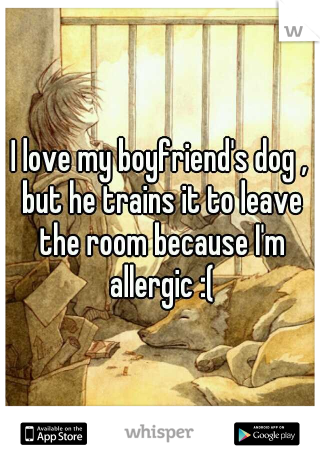 I love my boyfriend's dog , but he trains it to leave the room because I'm allergic :(