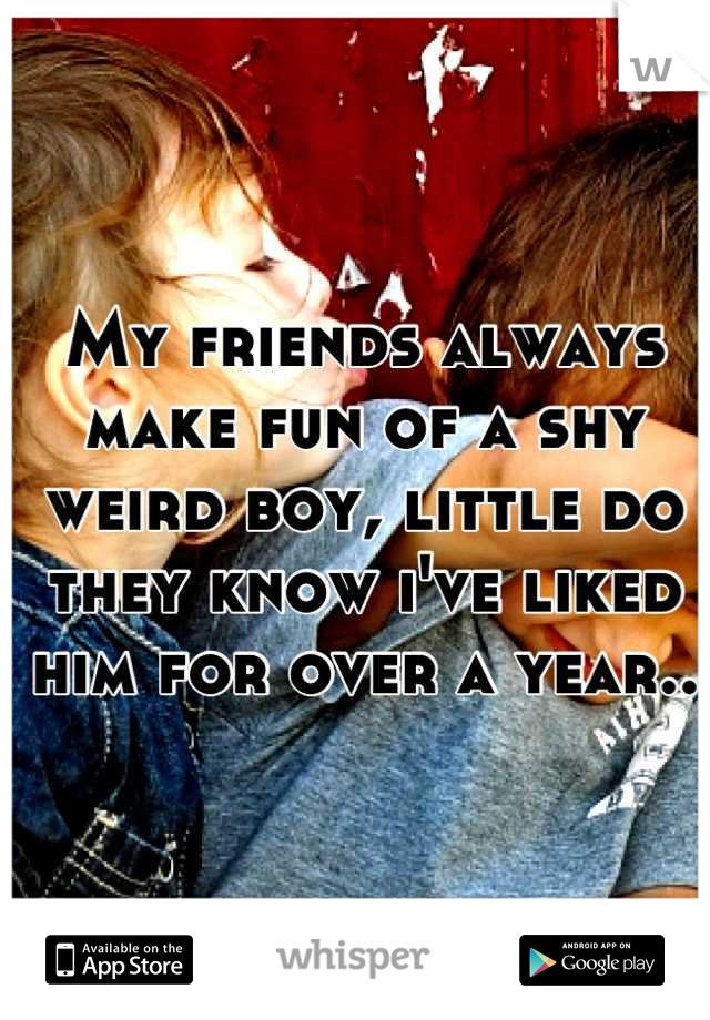 My friends always make fun of a shy weird boy, little do they know i've liked him for over a year..